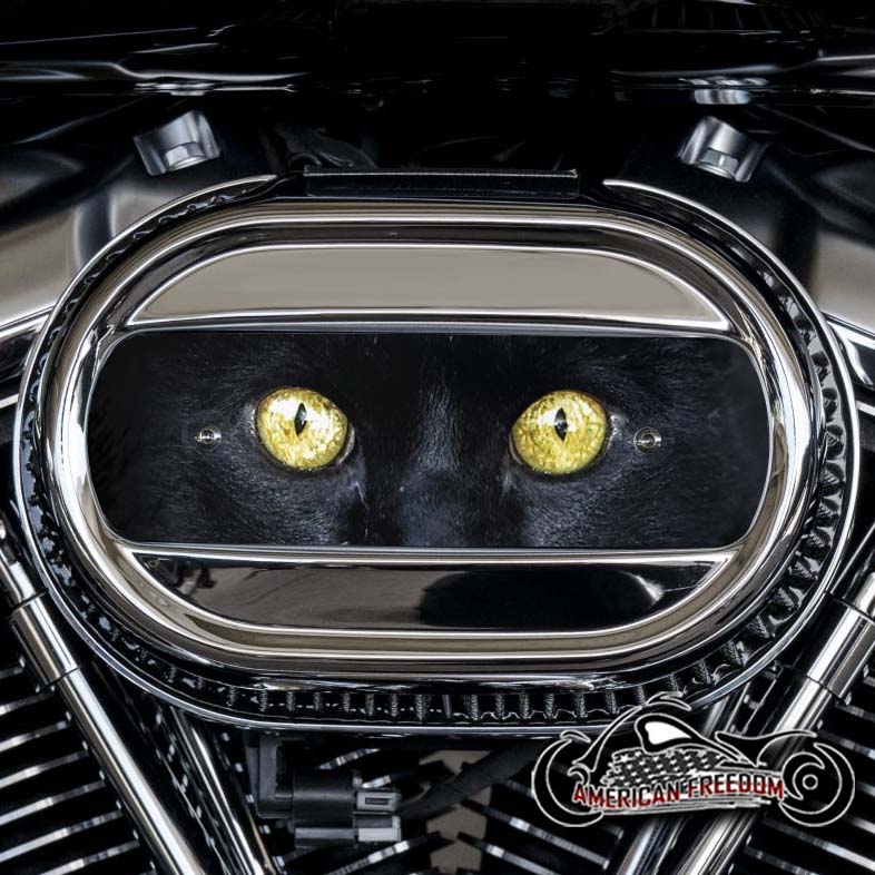 Harley Davidson M8 Ventilator Insert - Black Cat Eyes